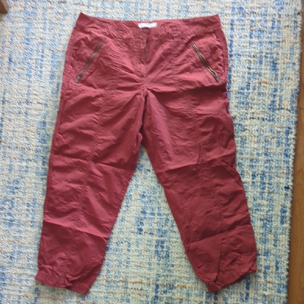 LOFT Burgundy Pants Size 10
